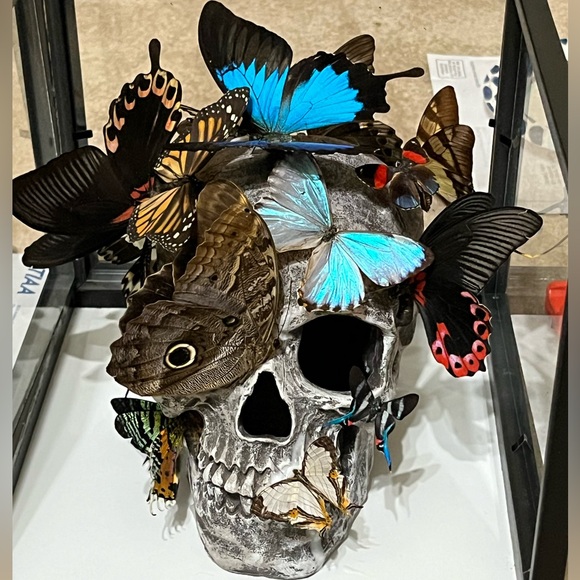 Skull sculpture with real butterflies, in 10”x8”x10” shadow box - Picture 1 of 11